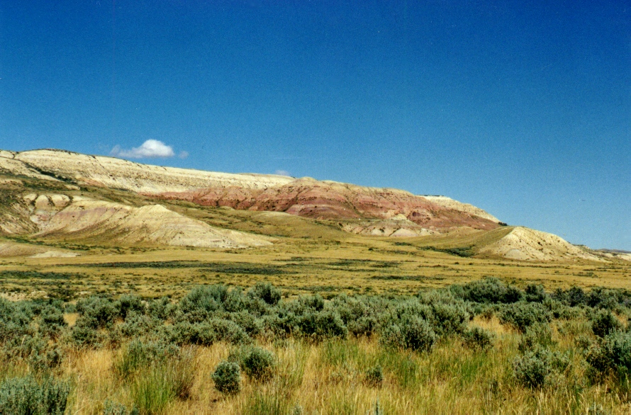 Fossil Butte 2