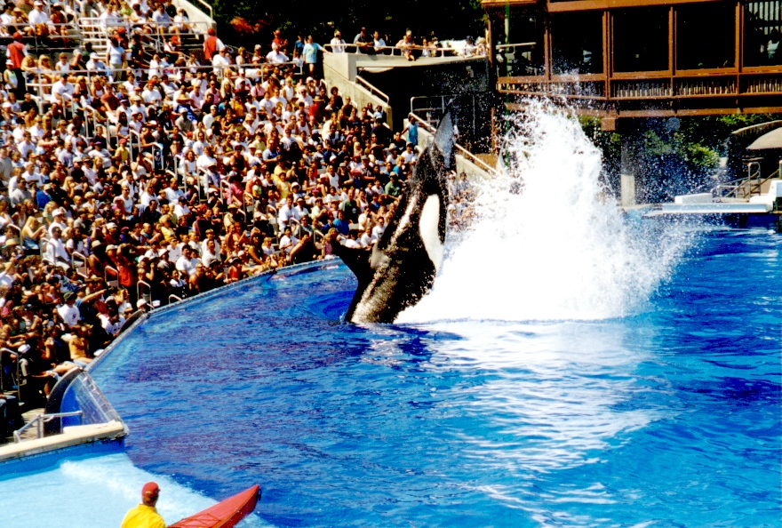 Sea World 10