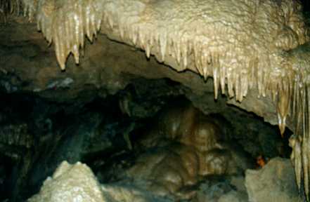 Shasta Cavern's 2