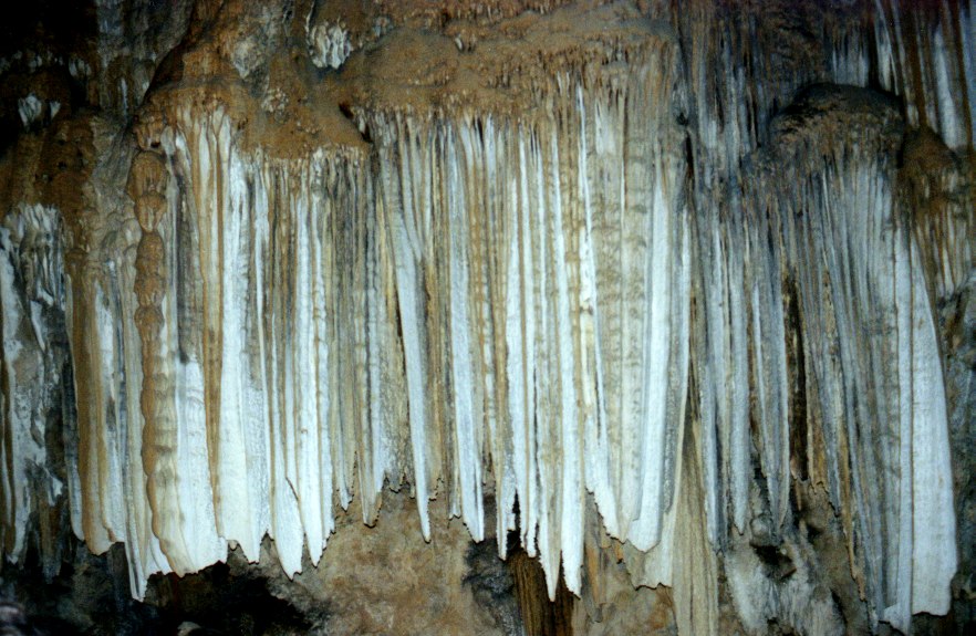 Shasta Cavern's 1