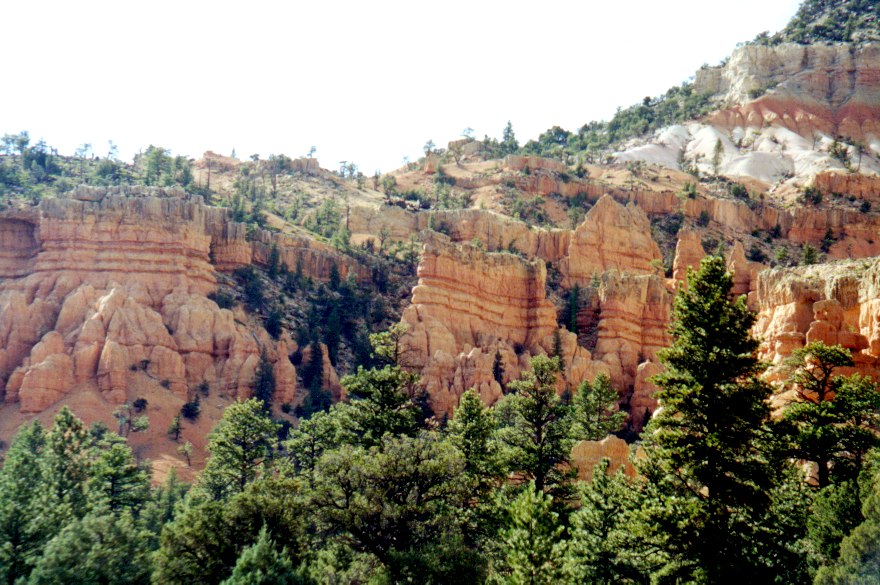 Bryce Canyon 8