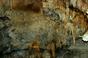 Shasta Cavern's 3