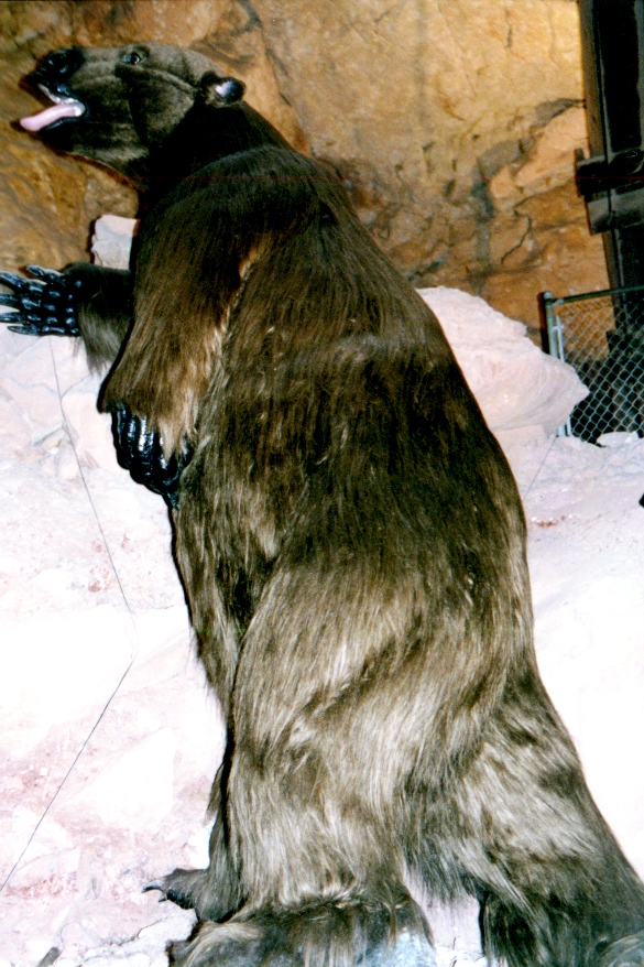 Grand Canyon Cavern's 4