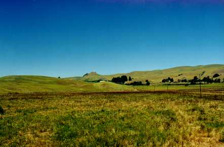 Nappa Valley 1