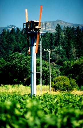 Nappa Valley 7