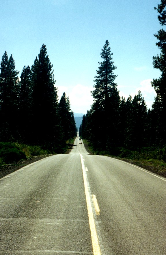 Endlose W&auml;lder 2