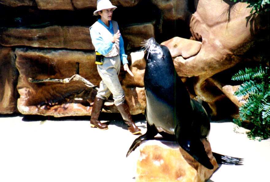 Sea World 17