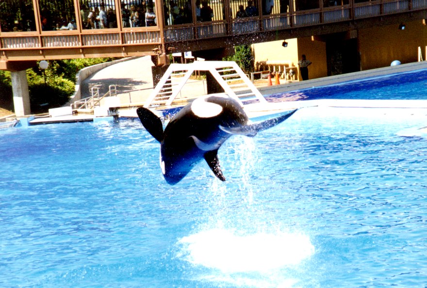 Sea World 7