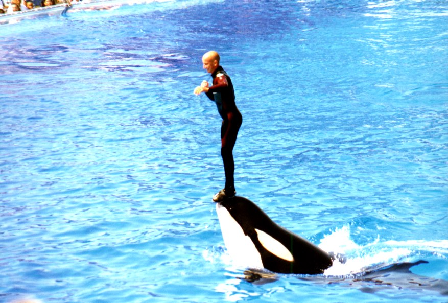 Sea World 5