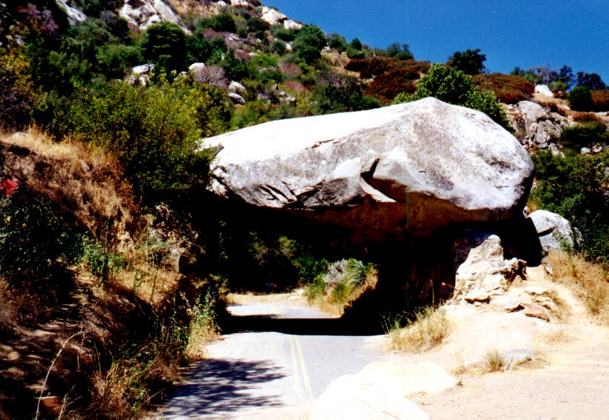 Sequoia 1